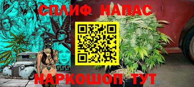 бошки Краснодар
